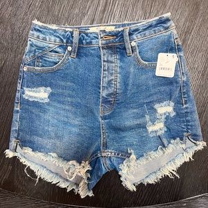 Free People Curvy Shorts